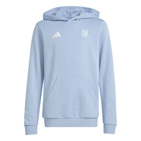 adidas Youth   Argentina Anniversary DNA Hoodie (Sky/White)