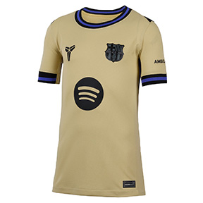 Nike Youth  Barcelona  Soccer Jersey (Away 25/26)
