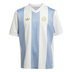 adidas Youth Argentina 50th Anniversary Soccer Jersey (24/25)