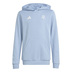 adidas Youth Argentina Anniversary DNA Hoodie (Sky/White)